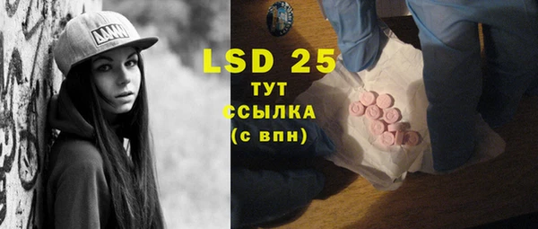 индика Алексеевка