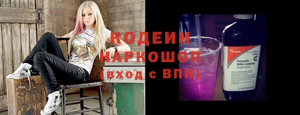 индика Алексеевка