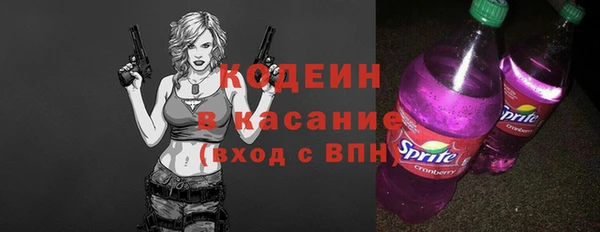 хмурый Алексин