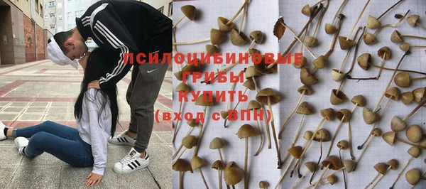 экстази Алзамай