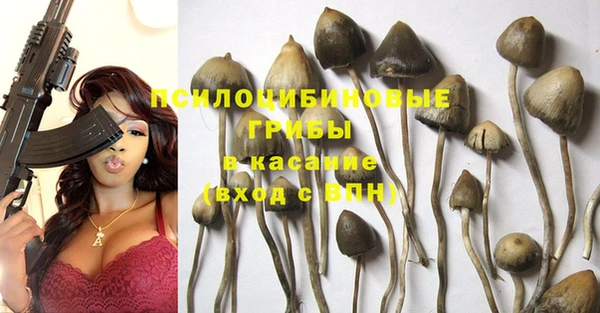 индика Алексеевка