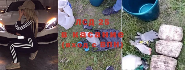 хмурый Алексин
