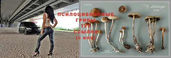 индика Алексеевка