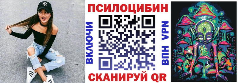 Псилоцибиновые грибы Cubensis  где продают наркотики  ОМГ ОМГ рабочий сайт  Анадырь 
